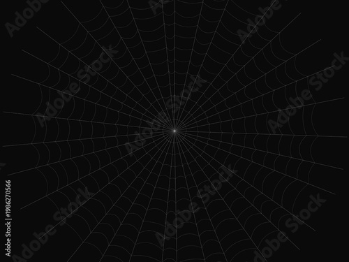 Delicate Spider Web Pattern Geometric Background