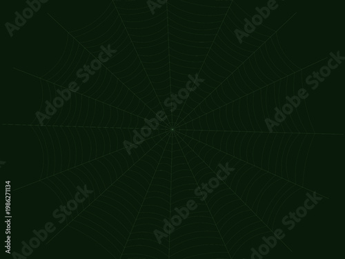 Radial Spider Web Cobweb Silk Thread Design