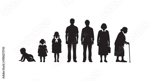Human aging process from baby to senior stages vector illustration silhouette life cycle graphic design.