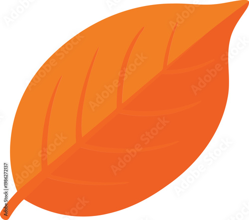 Orange leaf autumn fall single leaf