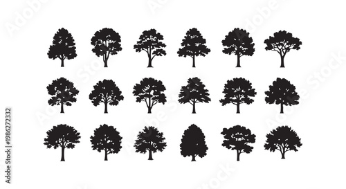 Large set of various tree species silhouettes with realistic foliage shapes for forest and park landscape design projects.