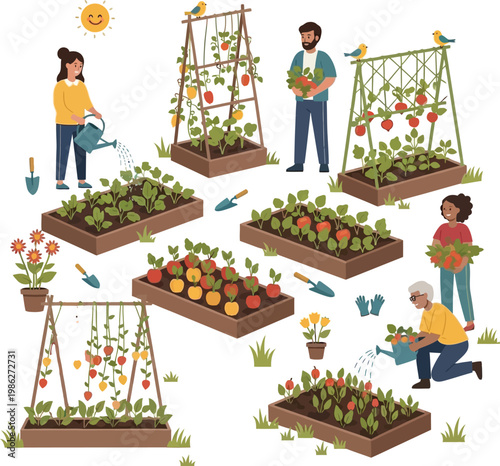 People are gardening in a community garden
