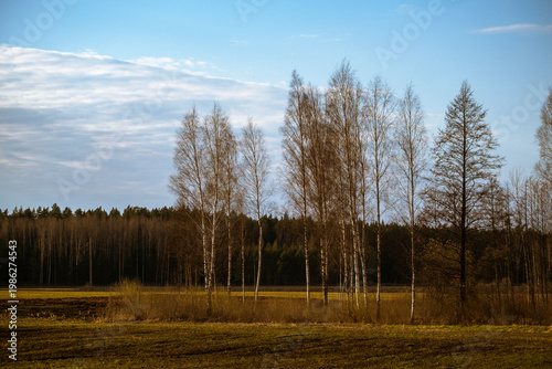 Farm land in spring, image taken in Latvia