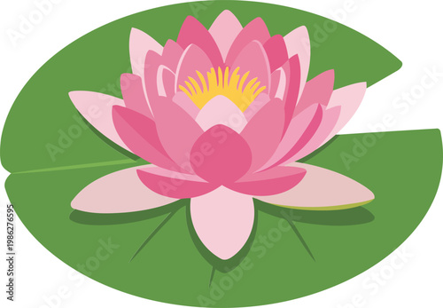 Pink lotus flower on green lily pad white background