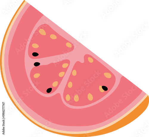 Pink Watermelon Slice with Seeds fruit