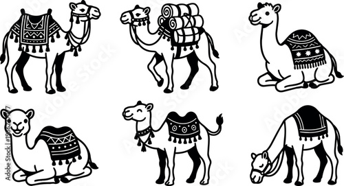 Six decorated camels resting and walking