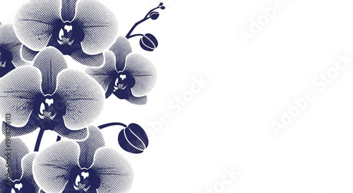 Monochromatic orchid flowers, dark blue floral pattern, white background, elegant botanical design, vector illustration