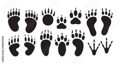 Grizzly bear and forest animal paw prints set vector illustration of various wildlife track silhouettes