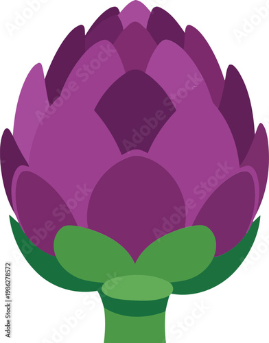 Purple Artichoke Flower green vegetable