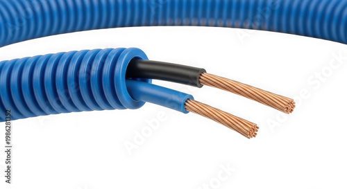 Close up of two electrical copper wires inside a blue corrugated flexible protective conduit isolated on transparent background