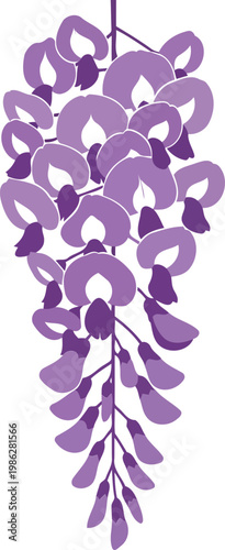 Purple wisteria flower branch purple flowers floral