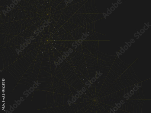 Gothic Spider Web Cobweb Pattern Nature Design Backdrop