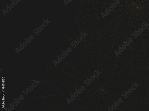 Delicate Spider Web Pattern Geometric Background