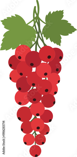 Red currants with green leaves on white background