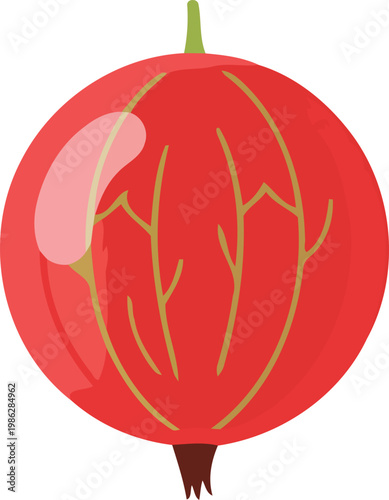 Red Tomato with Green Lines and Stem vegetable fruit
