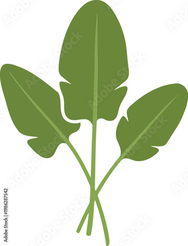 Three green leaves on stems leafy plant foliage