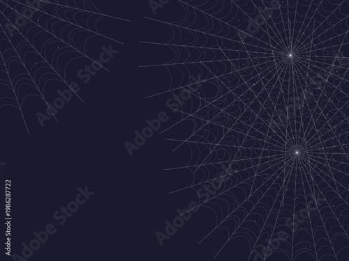 Spider Web Cobweb Silk Pattern Radial Background