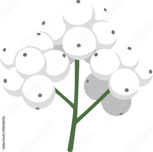 White flower with green stem and gray shadows plant