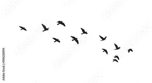 Flying birds silhouette collection vector set in dynamic motion on isolated white background.