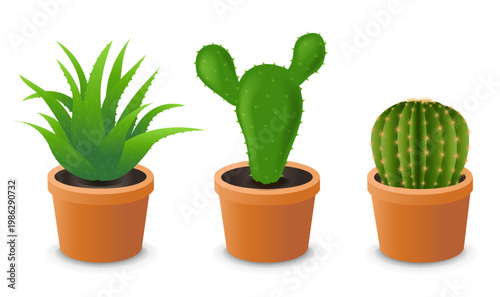 House Flower In Pot Isolated White Background