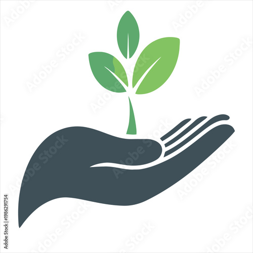 A hand holding a green plant with three leaves