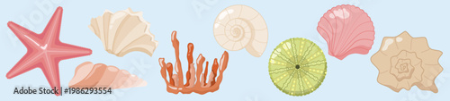 Sea Shells Starfish and Coral Collection Banner on Light Blue Background
