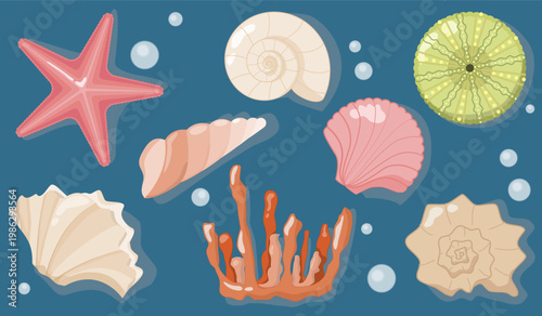 Sea Shells Starfish and Coral Collection Set on Dark Blue Background