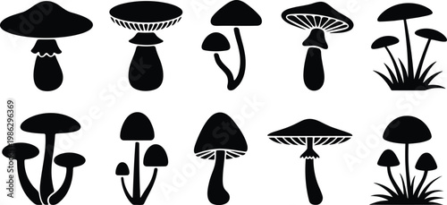 Collection of black mushroom illustrations on a white background