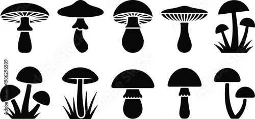 Collection of diverse black mushroom silhouettes against white background