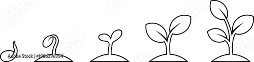 Seed germination process icon set showing plant growth stages from sprout to seedling. Small sapling life cycle symbol isolated on transparent background. Nature development and agriculture sequence.