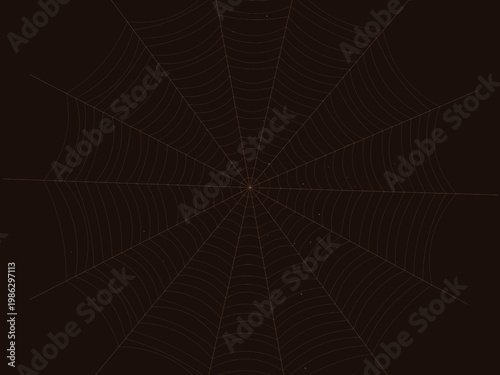 Radial Spider Web Cobweb Silk Thread Design