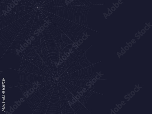 Cobweb Spider Silk Thread Geometric Pattern Design