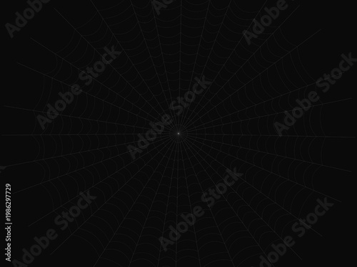 Cobweb Spider Silk Thread Geometric Pattern Design