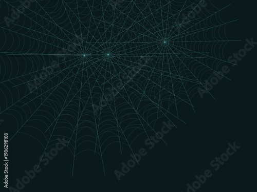 Cobweb Spider Silk Thread Geometric Pattern Design