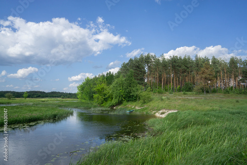 Curving River through Green Meadow and Forest Edge