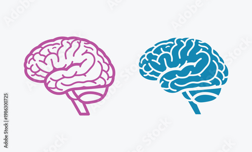 A colorful illustration of a human brain from two different angles