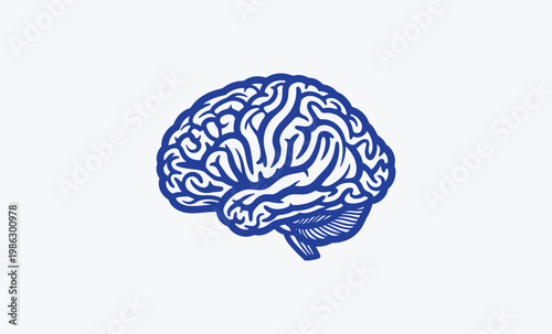 A blue and white drawing of a brain on a white background