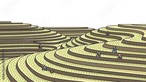 Vector illustration showcasing people farming in terraced rice paddy fields, a detailed design depicting the careful cultivation of secondary crops across the world in a stylized