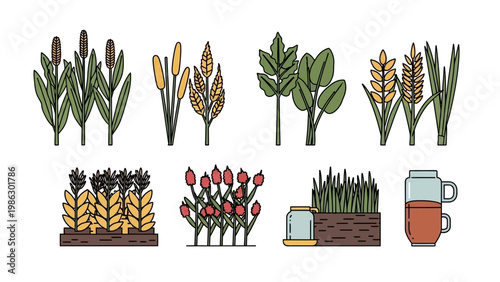 Vector illustration featuring various crops and plants, including rice paddy and secondary crops, designed as simple icons against a clean white background with a bright and inviting visual