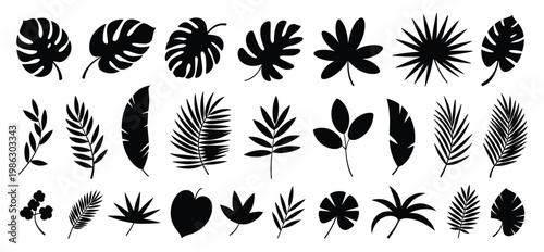 Collection of black silhouettes of tropical leaves and exotic foliage isolated on a white background featuring various palm fronds monstera leaves and botanical plant shapes