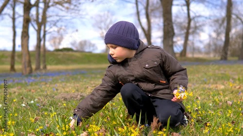 Young Boy Picking Spring Wildflowers in Park Meadow with Scilla and Gagea — Early Spring Nature Discovery Childhood Outdoor Play and Wellbeing Concept