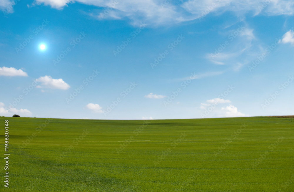 Fototapeta premium grass blue sky cloud landscape nature outdoor travel 
