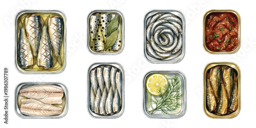 Watercolor open metal tins of canned sardines anchovies and mackerel fillets with lemon dill and spices, isolated on transparent background