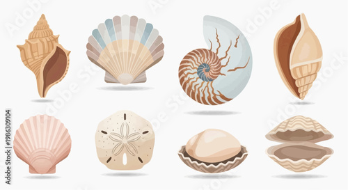 A collection of various seashells and ocean treasures in a vector graphic illustration