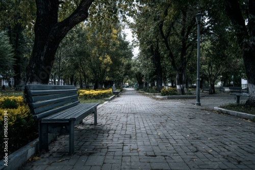 Walking path in a quiet park with benches and trees during the day