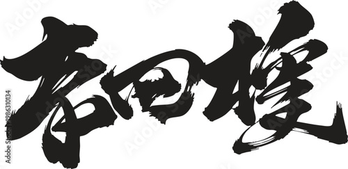 Elegant Black Ink Brush Stroke Japanese Calligraphy Kanji Characters Horizontal Composition