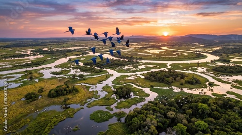Hyacinth Macaws Flying Over Pantanal Wetlands in Wide Cinematic Aerial Perspective