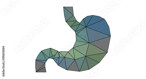 3D Polygonal Stomach Model - Medical Abstract Low Poly Anatomy