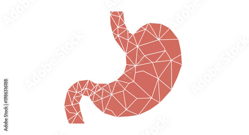 Abstract Stomach Anatomy - Polygonal Geometric Medical Illustration