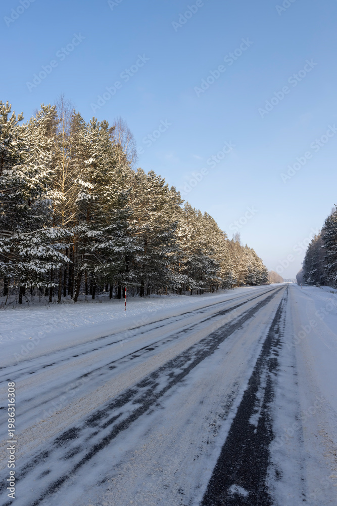 Fototapeta premium a road covered with ice for cars through a winter forest in the snow , a track with snow in the forest in the winter season, different types of trees grow on the side of the road against the blue sky